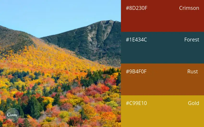 Bí quyết phối màu Slide chuẩn chuyên nghiệp